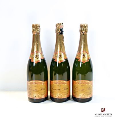 null 3 bouteilles	Champagne SONNETTE-PETIT Brut		NM

	Présentation et niveau, im...