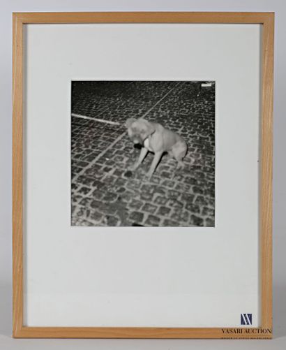 null Y. ?

The dog

Black and white photograph

Signed, countersigned on the back...