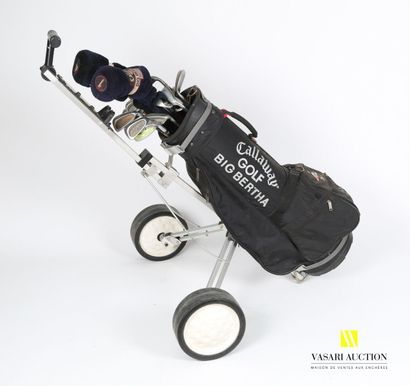 null Two golf bags with cart and clubs

(sold as is)