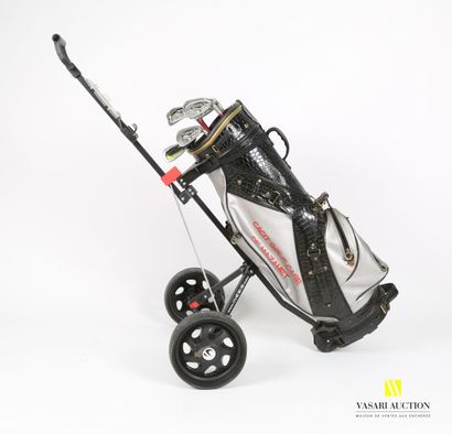 null Two golf bags with cart and clubs

(sold as is)