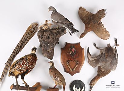 null Lot including a naturalized red partridge (Height: 26 cm - Wear and accidents)...