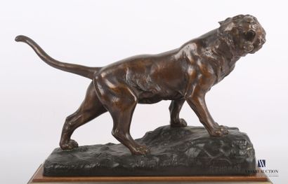 null THOMAS P. (XXème siècle)

Tigre rugissant 

Bronze à patine brune sur socle...