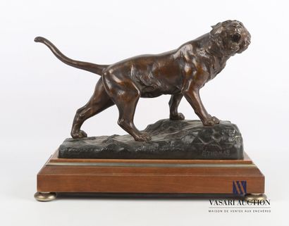 null THOMAS P. (XXème siècle)

Tigre rugissant 

Bronze à patine brune sur socle...