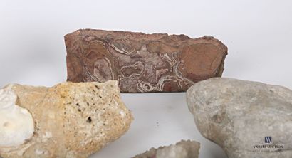null Ensemble de douze fragments comprenant des fossiles, des huitres et des quartz.

(le...