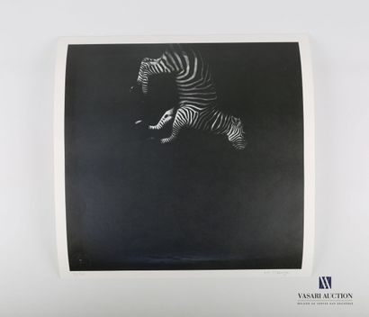null MR. STRANGE (XXème siècle)

Equus zebra dernier specimen

Lithographie en couleurs

Numérotée...
