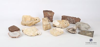 null Ensemble de douze fragments comprenant des fossiles, des huitres et des quartz.

(le...