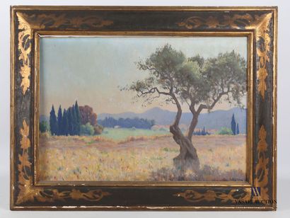UZAC Zénon (1855-1942) 
Olivier en Provence...