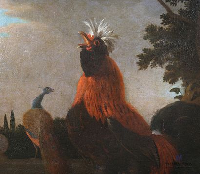 null École HOLLANDAISE du XVIIe siècle, atelier de Melchior de HONDECOETER

Poule...