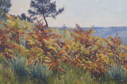 null UZAC Zénon (1855-1942)

Fern in a hilly landscape 

Oil on canvas

Signed lower...