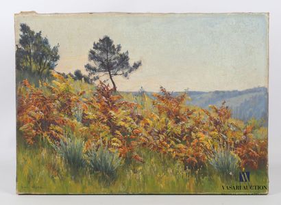 null UZAC Zénon (1855-1942)

Fern in a hilly landscape 

Oil on canvas

Signed lower...