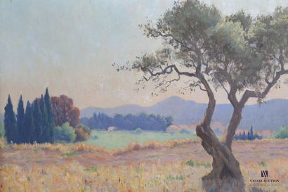 null UZAC Zénon (1855-1942)

Olive Tree in Provence

Oil on canvas

Signed lower...