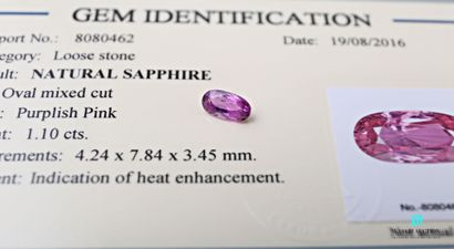 null Saphir rose de taille ovale calibrant 1,10 carat accompagné de son certificat...