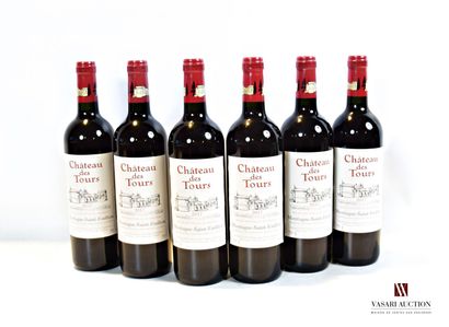 null 6 bouteilles	Château des TOURS	Montagne St Emilion	2017

	Présentation et niveau,...