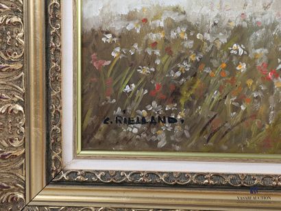 null RIELLAND Christophe (born in 1932)

The field of daisies

Oil on canvas

Signed...