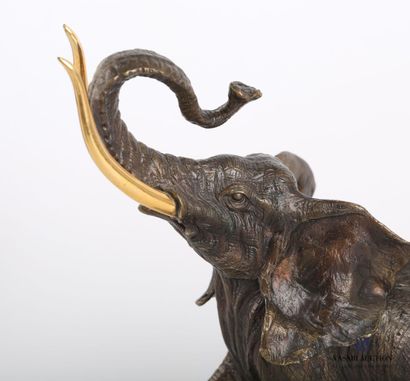 null FONDERIE FRANKLIN - PENNSYLVANIE 

Éléphant du parc naturel du Serengeti (Tanzanie)

Bronze...