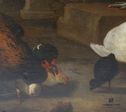 null École HOLLANDAISE du XVIIe siècle, atelier de Melchior de HONDECOETER

Poule...