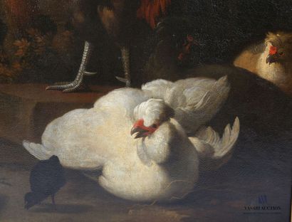 null 17th century HOLLAND school, workshop of Melchior de HONDECOETER

White hen...