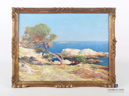 null DESAIRE Fernand (1885-1958)

A corner at Cap d'Antibes

Oil on cardboard

Signed...
