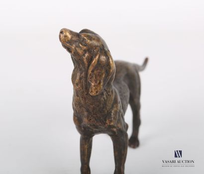 null Subject in bronze with brown patina representing a dog, the head raised.

Height...