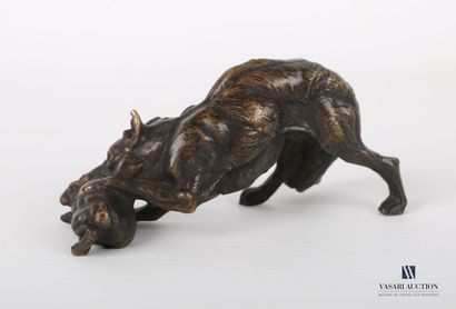 null Sujet en bronze figurant un loup tenant un lièvre dans sa gueule.

Haut. : 4,5...