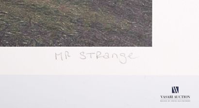 null MR. STRANGE (XXème siècle)

Elephant Way

Lithographie en couleurs

Numérotée...