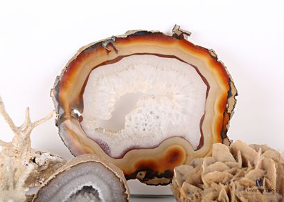null Lot including two half geodes, a quartz plate, a shell, four corals and a sand...