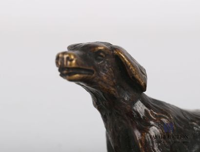 null Subject in bronze with brown patina representing a dog sitting.

Height : 3.5...