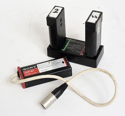 null Three batteries + charger for recorder SONY type TCDD10 or other

Average condition,...
