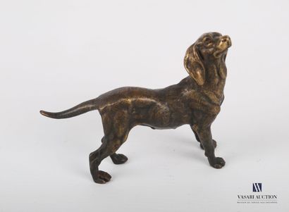 null Subject in bronze with brown patina representing a dog, the head raised.

Height...