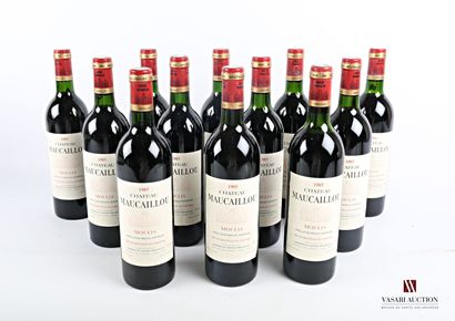 12 bouteilles	Château MAUCAILLOU	Moulis	1985

	Et....