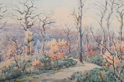 null CHALLUBAU (XXth century)

Forest road in autumn

Watercolor

Signed lower right

37,5...