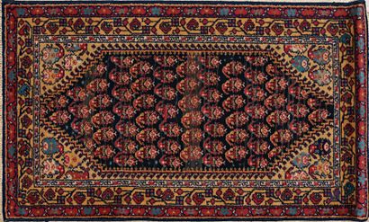 null Mechanical carpet decorated with boteh-termeh motifs.

160 x 92,5 cm