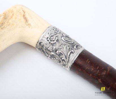 null Cane, the pommel in horn square, the ring in silver decorated with a blind cartouche...