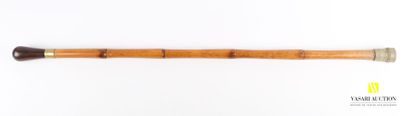 null Cane, the rounded pommel in rosewood, the ring in brass, the shaft in bamboo,...