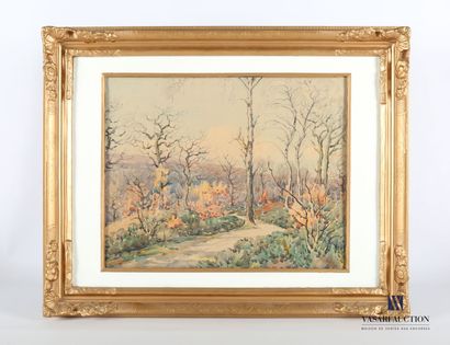 null CHALLUBAU (XXth century)

Forest road in autumn

Watercolor

Signed lower right

37,5...