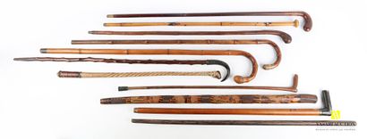 null Lot including nine various canes, a carved stick and a whip in micocoulier

(missing...