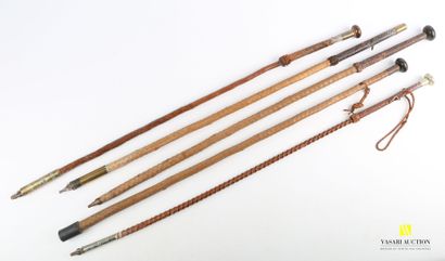 null Lot of five canes or makila, the shaft in medlar tree for three of them, the...