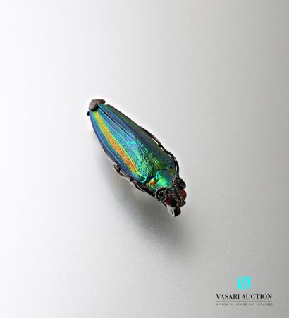 null Silver brooch with a naturalized beetle, early 20th century

Gross weight :...