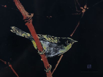 null SHANDLY (XXème siècle)

Deux panneaux laqués figurant des oiseaux branchés 

Signature...