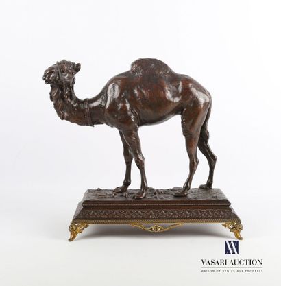 null Subject in regula with brown patina representing a dromedary posing on a leafy...