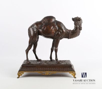 null Subject in regula with brown patina representing a dromedary posing on a leafy...
