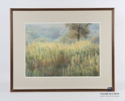 null LINOL Yvette
The herbs - Montrol-Sénard
Pastel on paper
Signed lower right,...