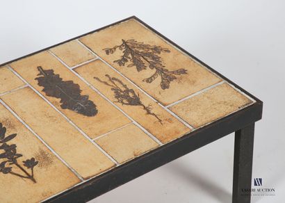 null CAPRON Roger (1922-2006)
Coffee table from the Botanical series with herbarium...