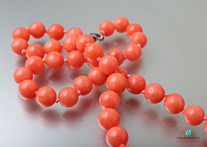null Coral root bamboo beads necklace, steel clasp.
Length : 45,5 cm 