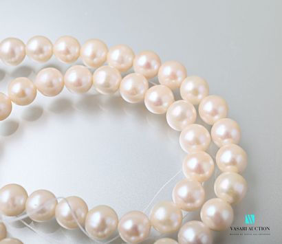 null Necklace of thirty-eight freshwater cultured pearls 8/8.5 mm, without fremoir...