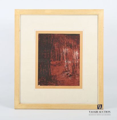 null CLUZEL (XXth century)
In the woods
Lithograph in colors 
Annotated Artist's...