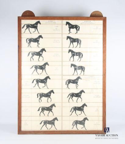 null Two panels of an equestrian center containing a print presenting the different...