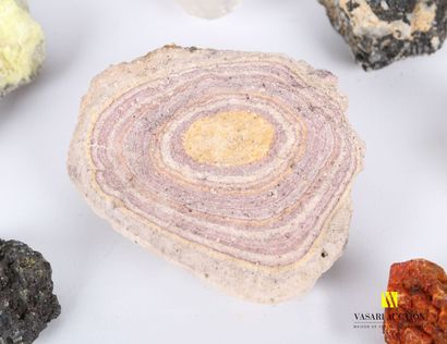 null Lot of twenty four mineralogical stones such as: quartz amethyst - rock crystal...