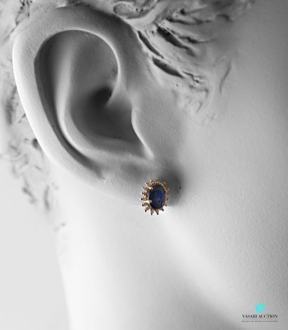 null Pair of earrings in gold 750 thousandth set with sapphires in a circle of small...
