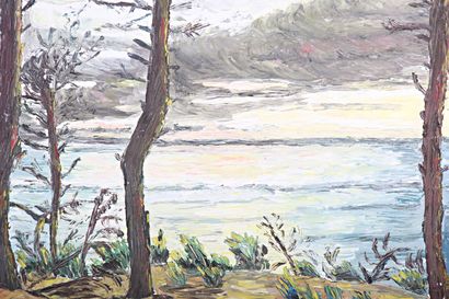 null FONTANILLE M. (XXth century)
View of the lake from the pines
Oil on canvas 
Signed...